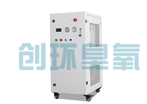 重庆石斑鱼养殖水质调控完整指南：臭氧发生器配置与操作步骤