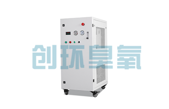 重庆比传统换水更高效？臭氧发生器在石斑鱼养殖中的水质净化原理解析