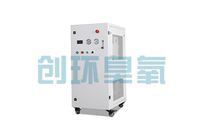重庆比传统换水更高效？臭氧发生器在石斑鱼养殖中的水质净化原理解析